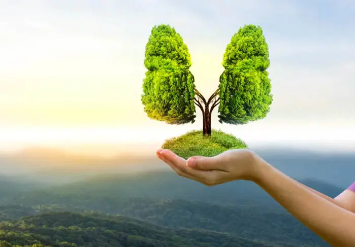 Filtration Consultancy